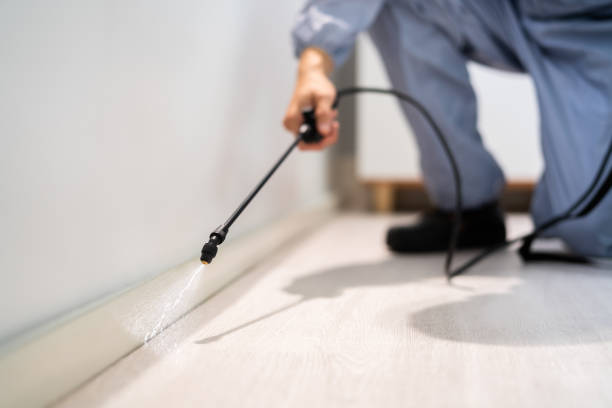 Licensed Termite Control service in Jefferson, MD - Nex Pest Control