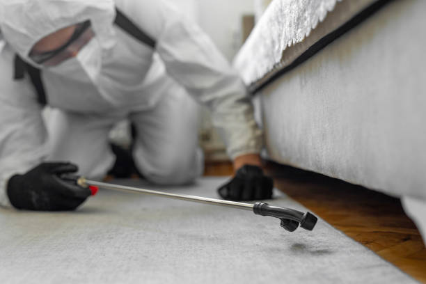 Professional Termite Control technician working in Jefferson, MD