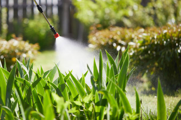 24/7 Emergency Termite Control experts in Jefferson, MD