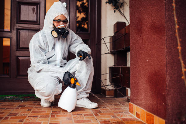 Reliable Termite Control contractor in Jefferson, MD by Nex Pest Control